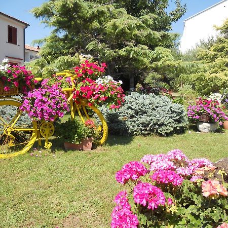 Apartments Mihalic Башка Экстерьер фото